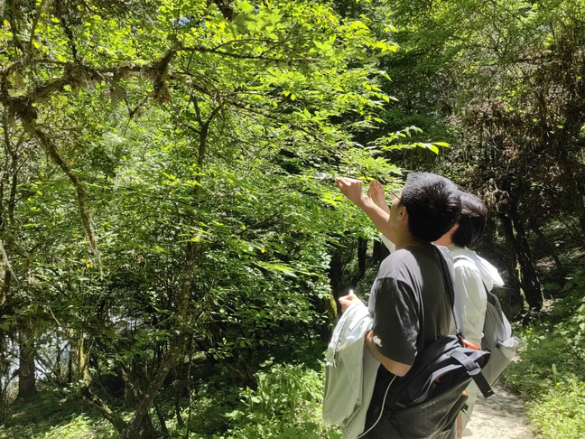 卧龙调研实景图